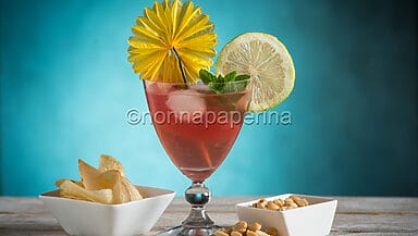 Succo di anguria con gin