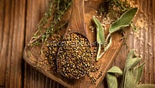 Zaatar, la miscela di spezie della cucina araba