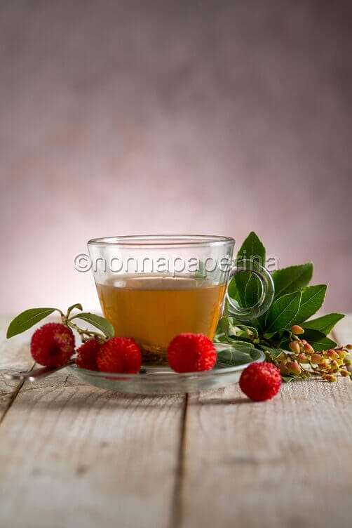 Tisana di corbezzolo Tisana di corbezzolo