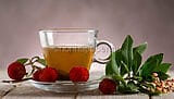 Strawberry Tree Herbal Tea, a Healthy Drink Strawberry Tree Herbal Tea, a Healthy Drink
