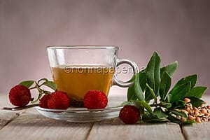 Strawberry Tree Herbal Tea, a Healthy Drink