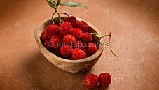 Il corbezzolo, le sue proprietà e le ricette in cucina Il corbezzolo, le sue proprietà e le ricette in cucina