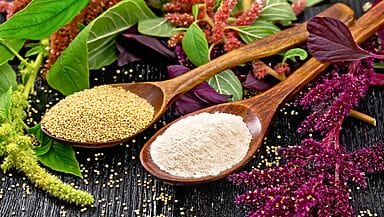 Amarantacee Farina e semi di amaranto