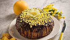 Torta mimosa al cioccolato, uno splendido dolce per le Donne Torta mimosa al cioccolato, uno splendido dolce per le Donne