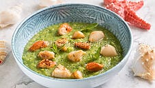 Crema di zucchine e menta con capesante, un piatto gourmet Crema di zucchine e menta con capesante, un piatto gourmet