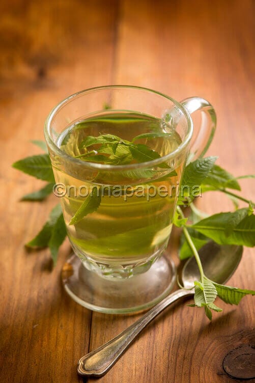 Tisana rinfrescante con erba cedrina Tisana rinfrescante con erba cedrina