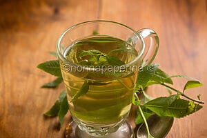 Tisana rinfrescante con erba cedrina, un delizioso sollievo Tisana rinfrescante con erba cedrina, un delizioso sollievo