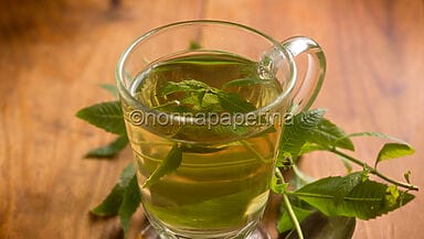 Tisana rinfrescante con erba cedrina