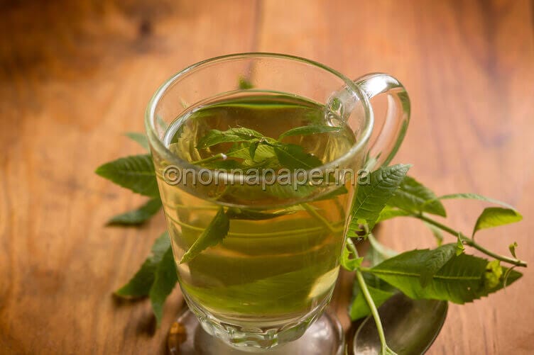 Tisana rinfrescante con erba cedrina