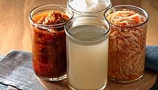 kombucha, kraut, kimchi e kefir