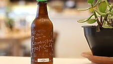 Kombucha: La bevanda fermentata che fa bene alla salute Kombucha: La bevanda fermentata che fa bene alla salute