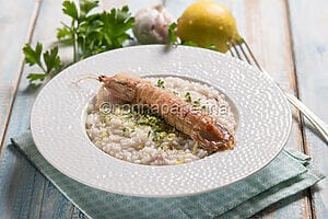 Risotto alle canocchie: cremoso, profumato e senza mantecatura classica Risotto alle canocchie: cremoso, profumato e senza mantecatura classica