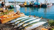 Sgombro sott’olio e al naturale