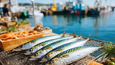 Sgombro sott’olio e al naturale