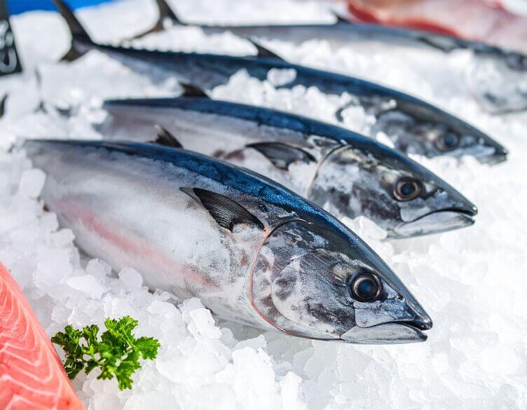 tonno fresco tonno fresco