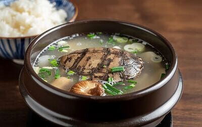 Suppon nabe: hot pot tradizionale giapponese con carne di tartaruga