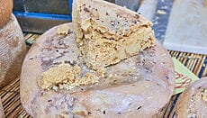 Casu Marzu