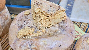 Casu Marzu