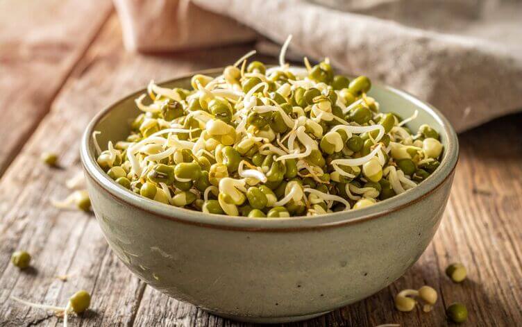 germogli di fagioli mung