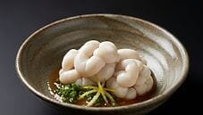 shirako