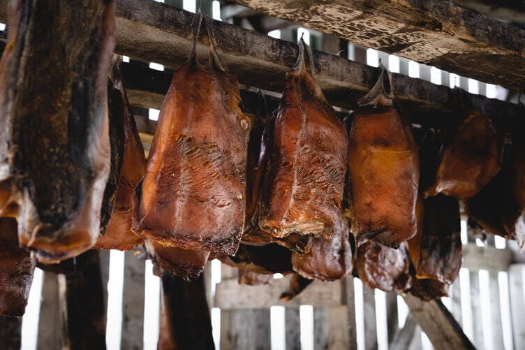 Icelandic fermented shark Hakarl