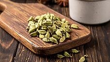 Cardamomo: profumo antico, gusto moderno Cardamomo: profumo antico, gusto moderno