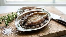 Abalone