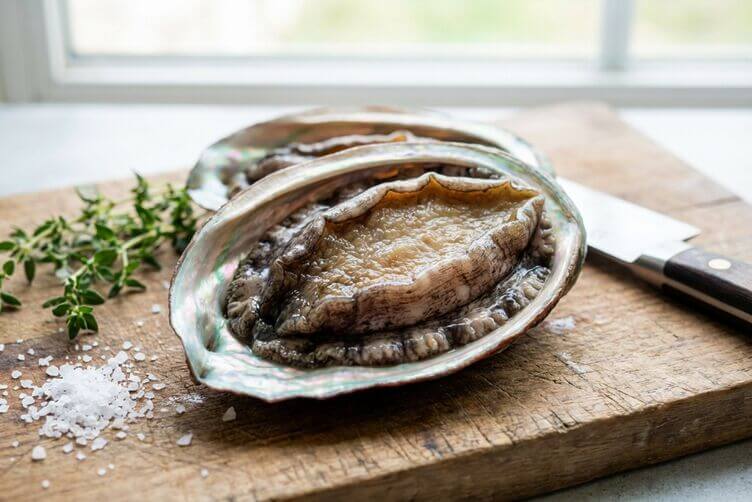 Abalone, orecchio di mare: guida completa tra gusto, tradizione e cucina Abalone
