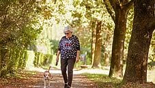 Muoversi con dolcezza: la camminata giapponese per il benessere di ogni giorno Muoversi con dolcezza: la camminata giapponese per il benessere di ogni giorno