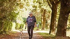 camminata giapponese