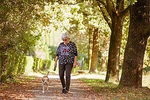 Muoversi con dolcezza: la camminata giapponese per il benessere di ogni giorno