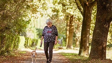 camminata giapponese