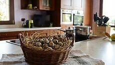 cesto con uova di quaglia