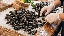 Come cucinare le cozze: la guida completa tra gusto, salute e sicurezza Come cucinare le cozze: la guida completa tra gusto, salute e sicurezza