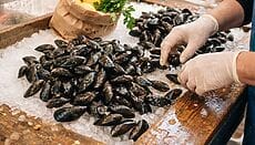 Cozze fresche su ghiaccio al banco del pesce