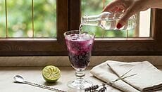 Gin Fizz al mirtillo e lavanda