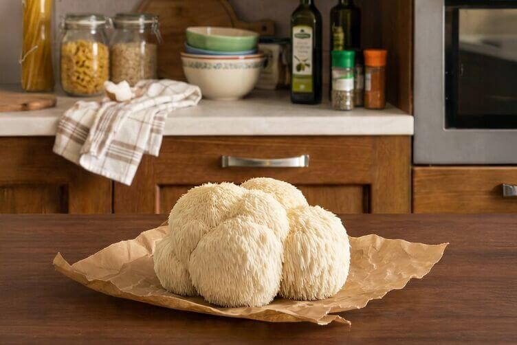 Lion’s Mane: cos’è, perché piace in cucina e cosa dice la scienza lion's mane