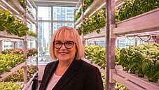 L’orto in verticale: come la tecnologia riporta il verde e la freschezza nelle nostre città L’orto in verticale: come la tecnologia riporta il verde e la freschezza nelle nostre città