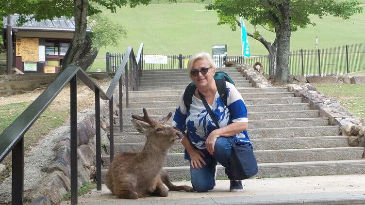 A Nara in Giappone accanto a un cervo del parc A Nara in Giappone accanto a un cervo del parco, durante una visita tra natura, giardini e tradizioni locali