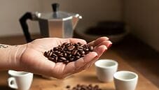 Kopi luwak: storia, gusto e come prepararlo Kopi luwak: storia, gusto e come prepararlo