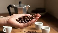 chicchi di Kopi luwak