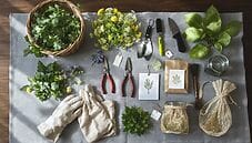 Piante alimurgiche: guida completa per chi ama la natura e la cucina Piante alimurgiche: guida completa per chi ama la natura e la cucina